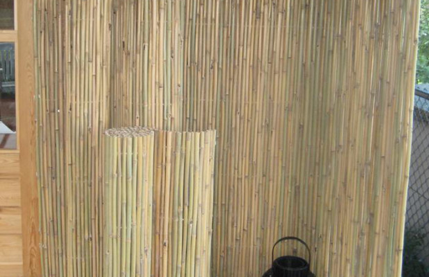Bamboe rolscherm